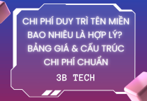 Chi Phí Duy Trì Tên Miền Bao Nhiêu Là Hợp Lý? Bảng Giá & Cấu Trúc Chi Phí Chuẩn