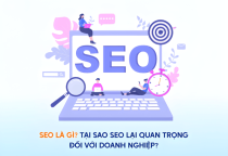 SEO Website Là Gì Và Tại Sao Doanh Nghiệp Cần Ngay Hôm Nay