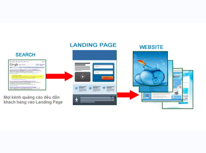 thiết kế website đẹp tại TP.HCM